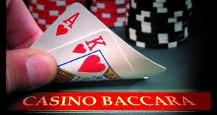 bacccara